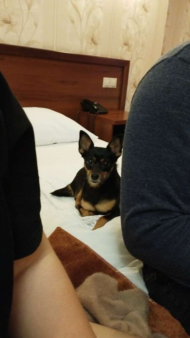 Гостиница Аврора Краснодар-148